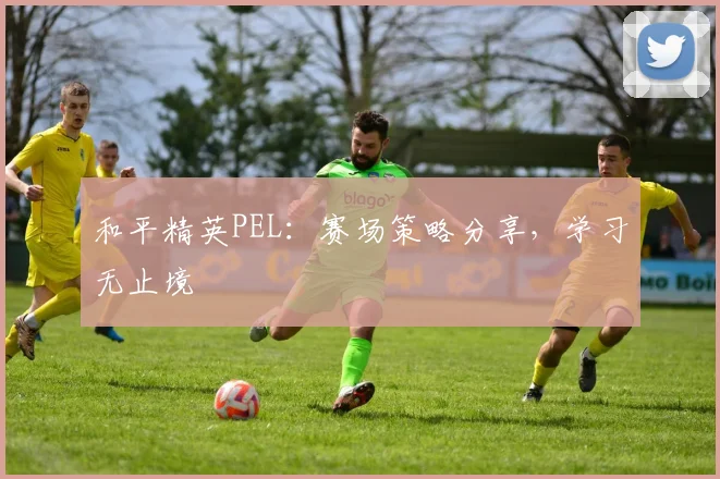 和平精英PEL：赛场策略分享，学习无止境