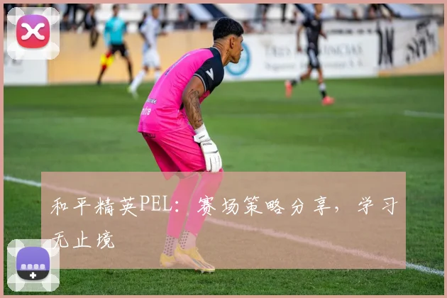 和平精英PEL:赛场策略分享,学习无止境