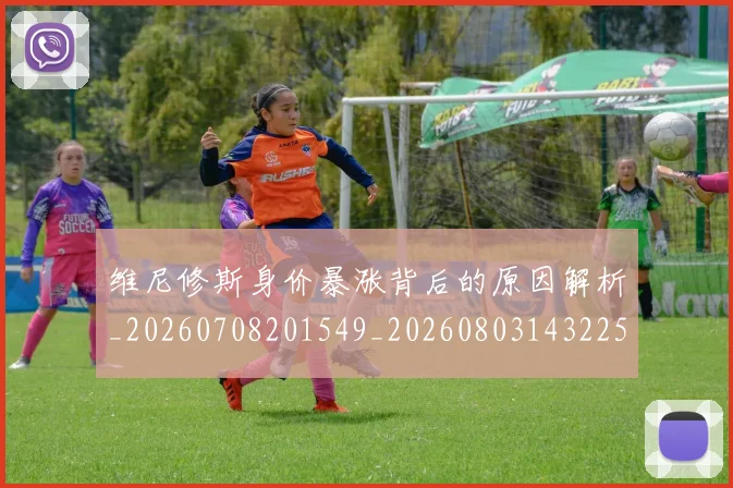 维尼修斯身价暴涨背后的原因解析_20260708201549_20260803143225